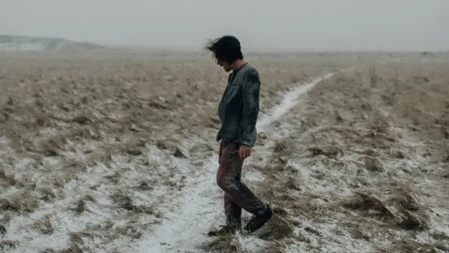 Damien Rice.